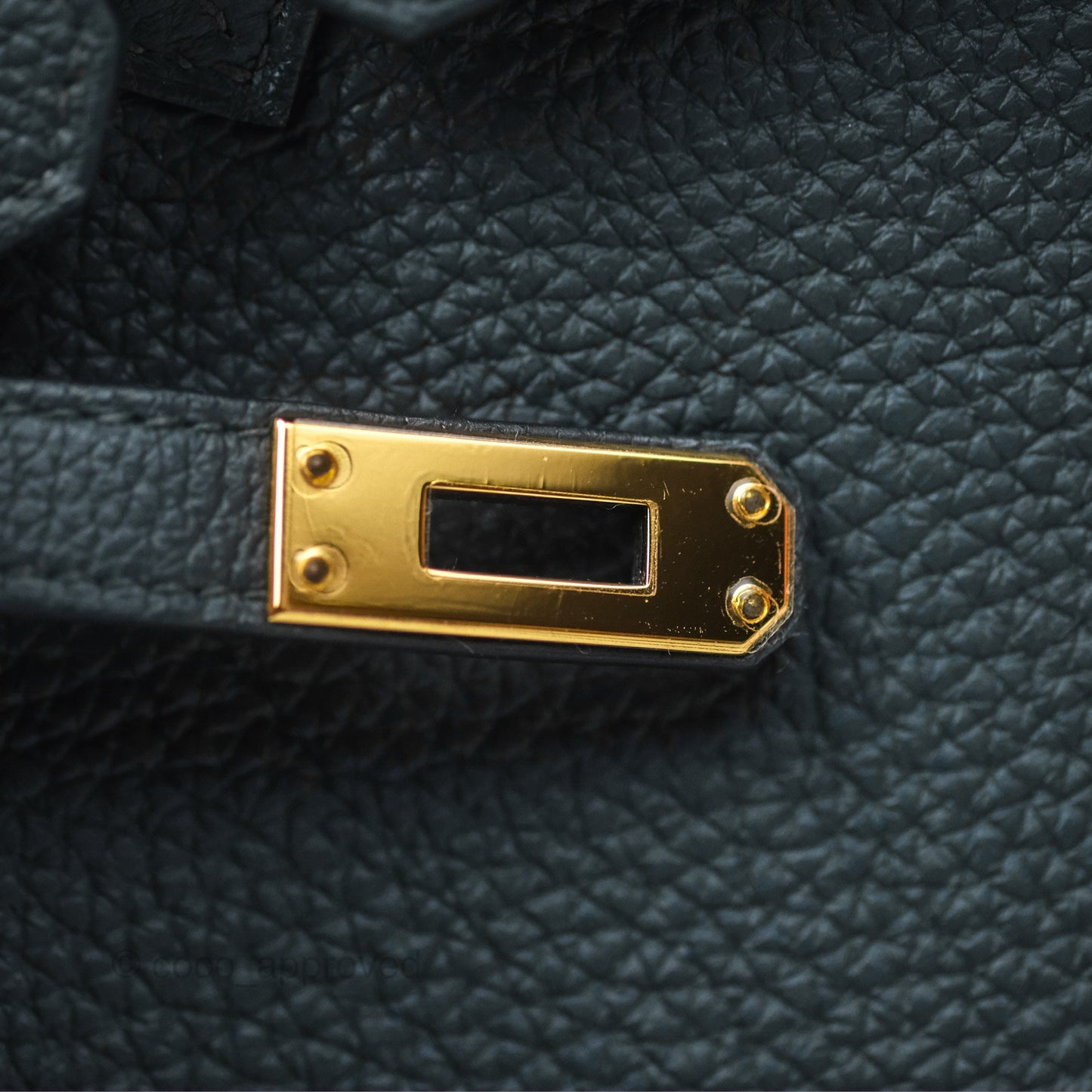 Hermès Birkin 25 Retourne Vert Cypres 6O Togo Gold Hardware