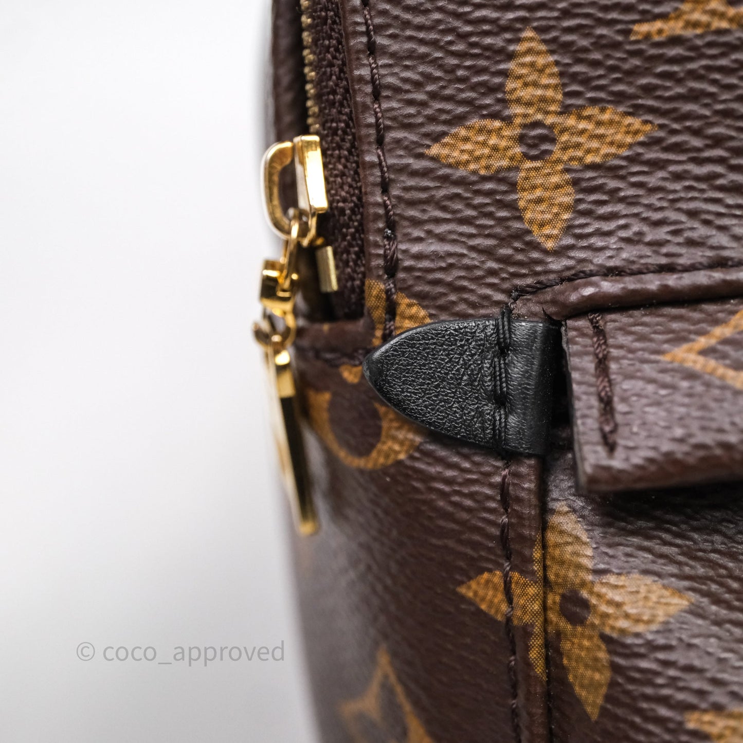 Louis Vuitton Mini Palm Springs Backpack⁣ Monogram