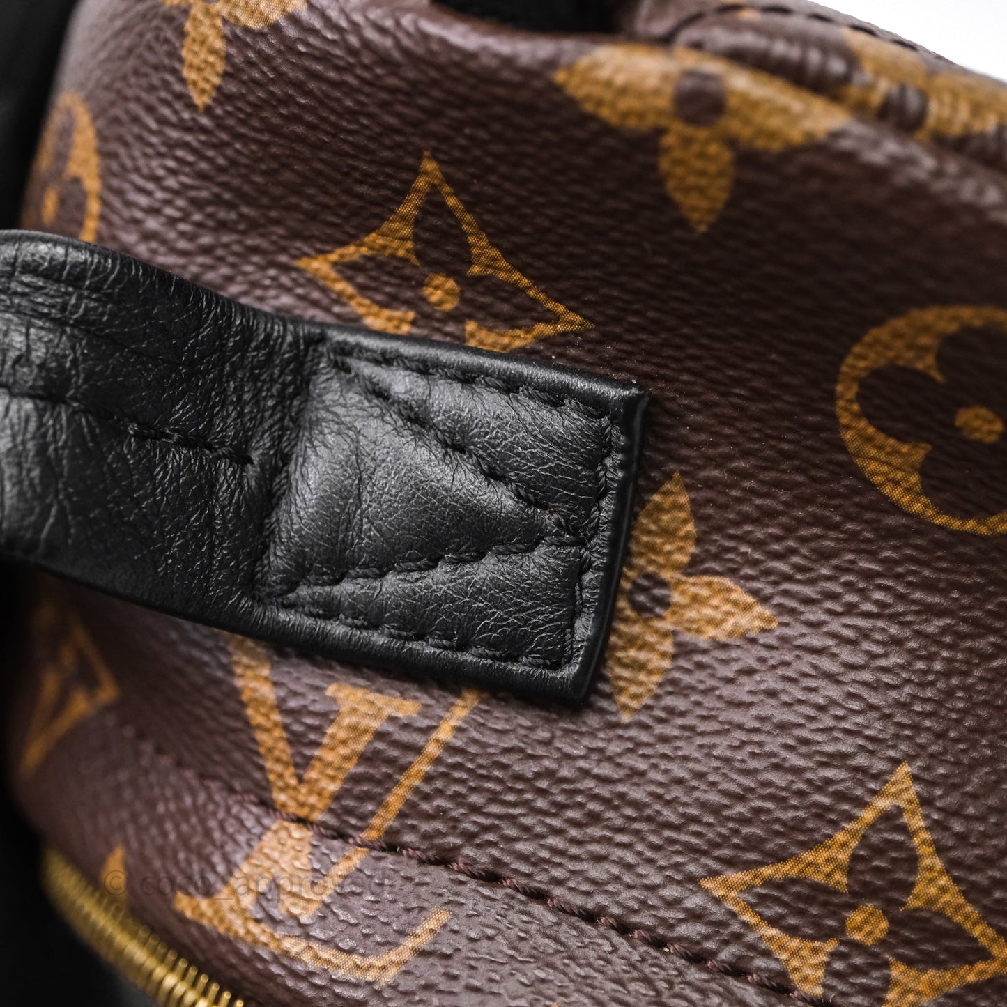 Louis Vuitton Mini Palm Springs Backpack⁣ Monogram