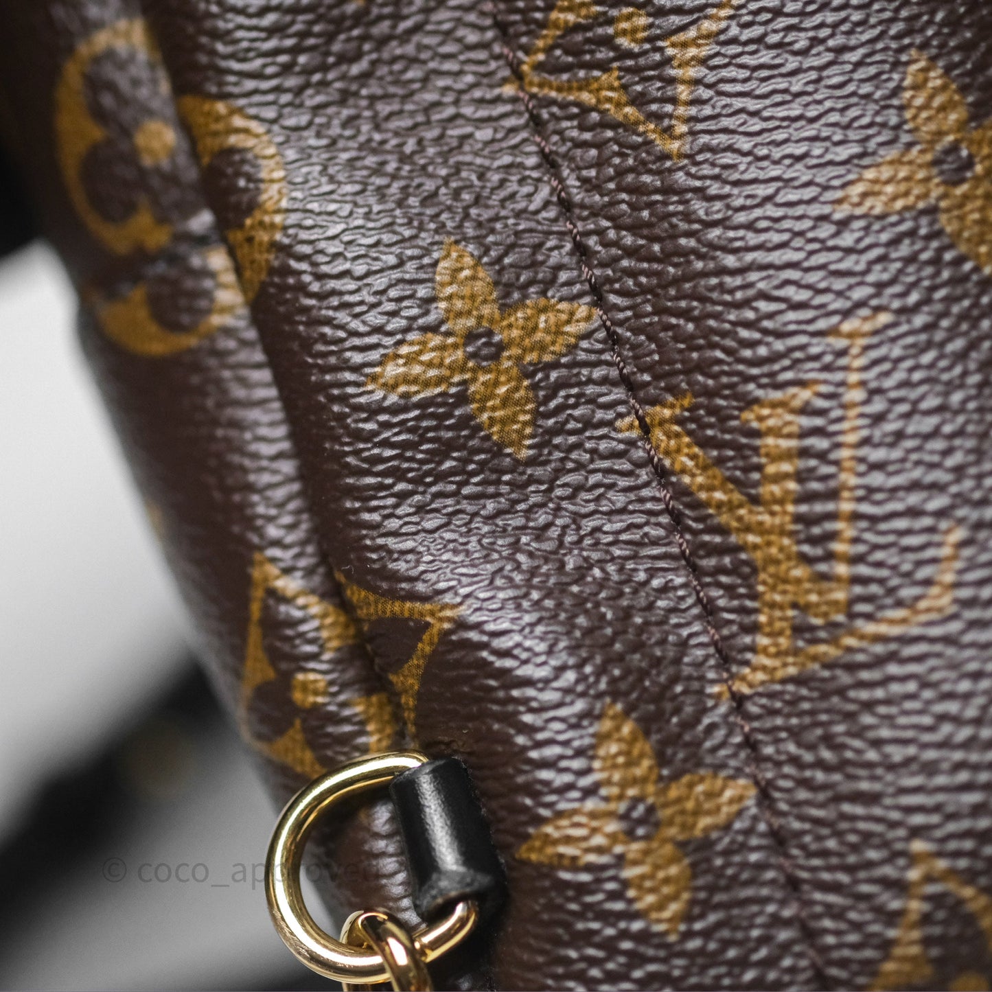 Louis Vuitton Monogram Mini Palm Springs Backpack⁣