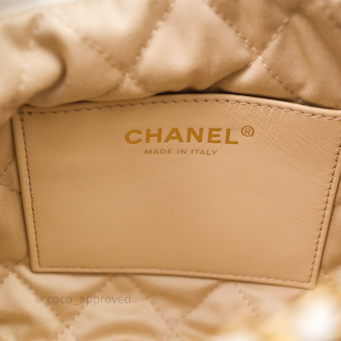 Chanel 22 Mini Bag White Shiny Crumpled Calfskin