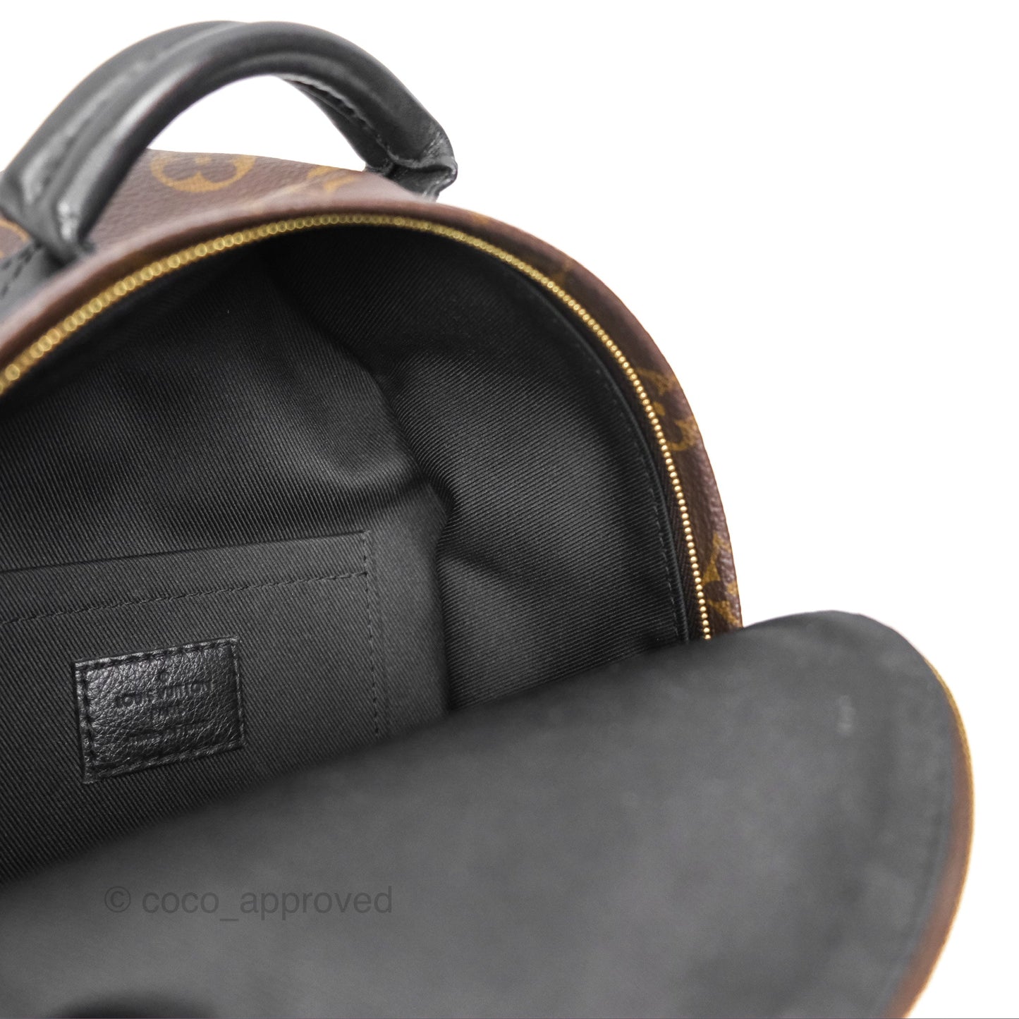 Louis Vuitton Mini Palm Springs Backpack⁣ Monogram