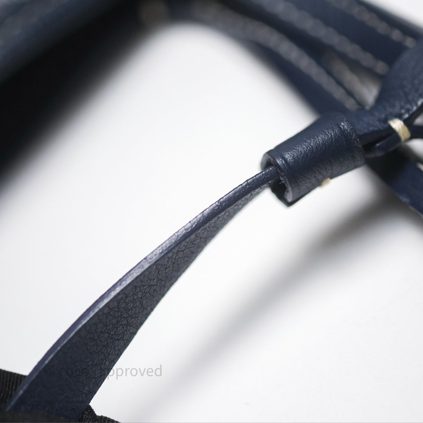 Goyard Anjou Mini Bag Goyardine Canvas Navy