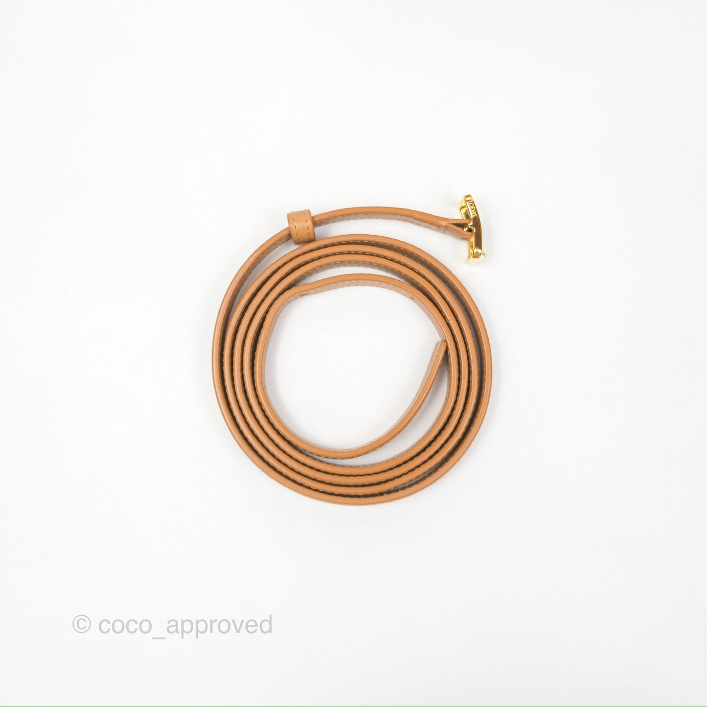 Loewe Small Goya Bag Warm Desert Silk Calfskin