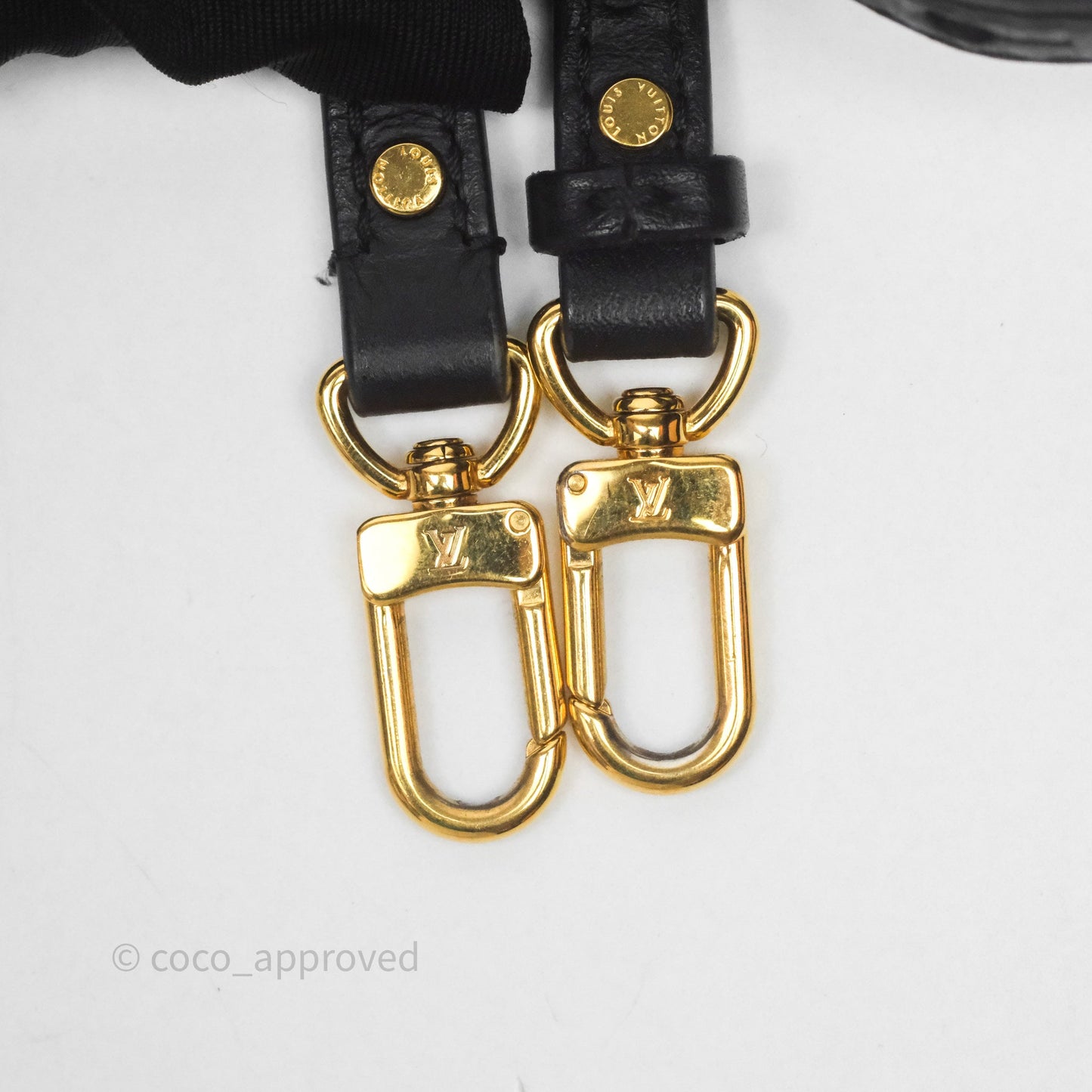 Louis Vuitton Mini Palm Springs Backpack⁣ Monogram