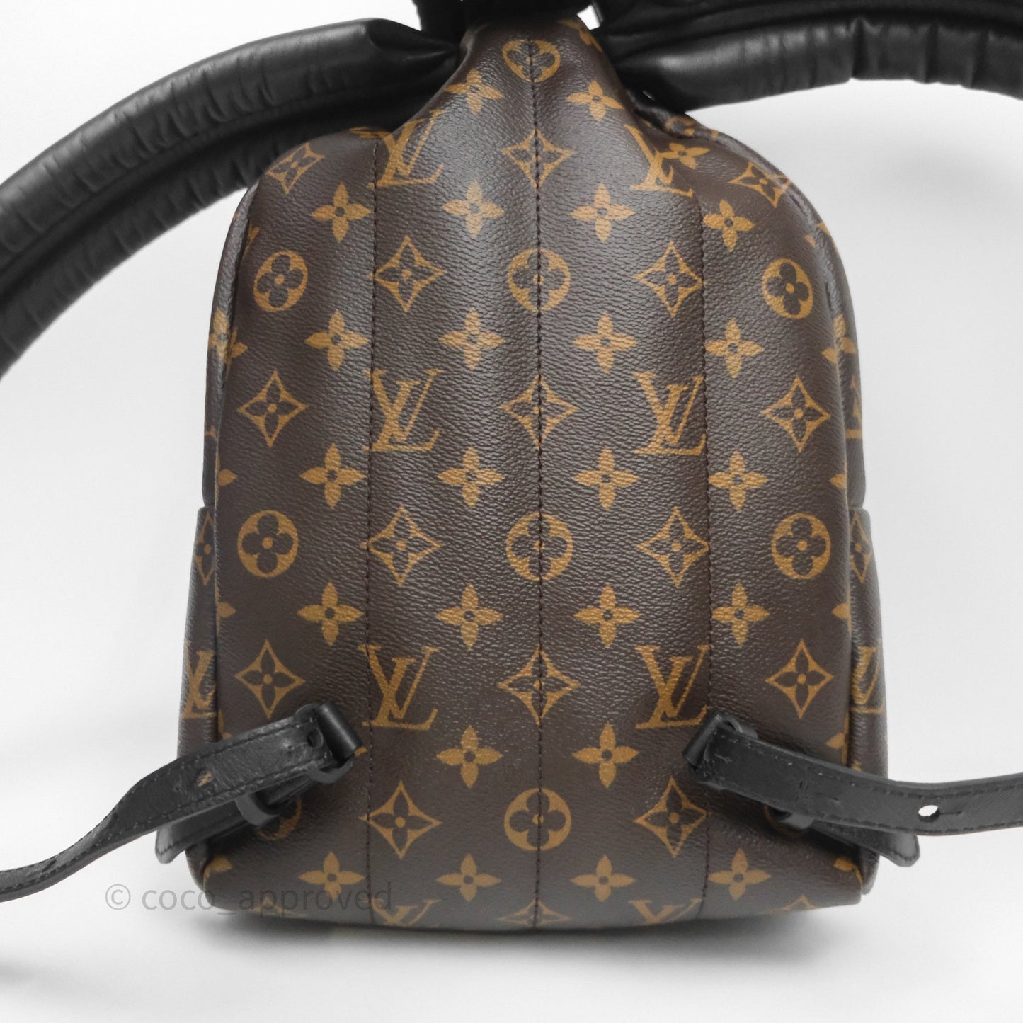 Louis Vuitton Palm Springs Backpack⁣ Monogram PM