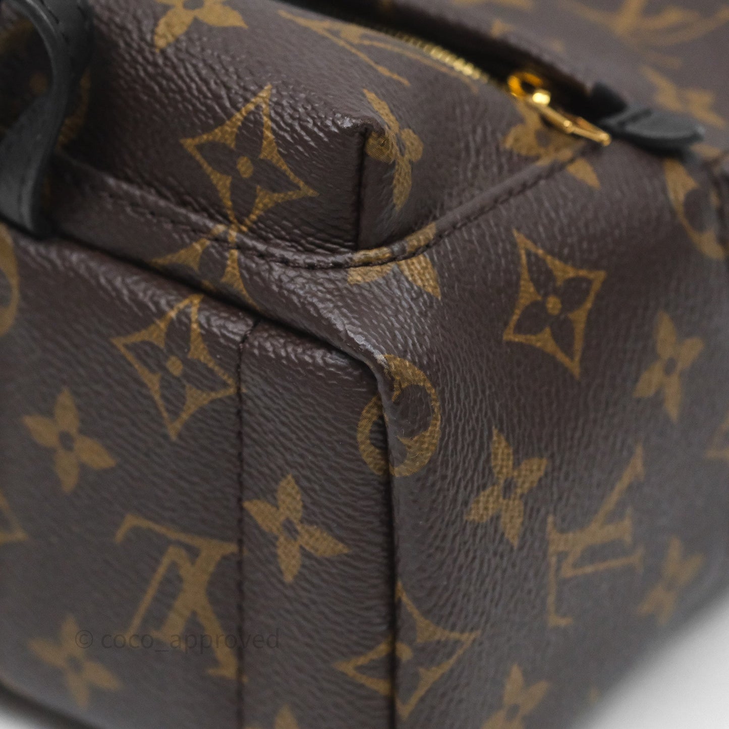Louis Vuitton Mini Palm Springs Backpack⁣ Monogram