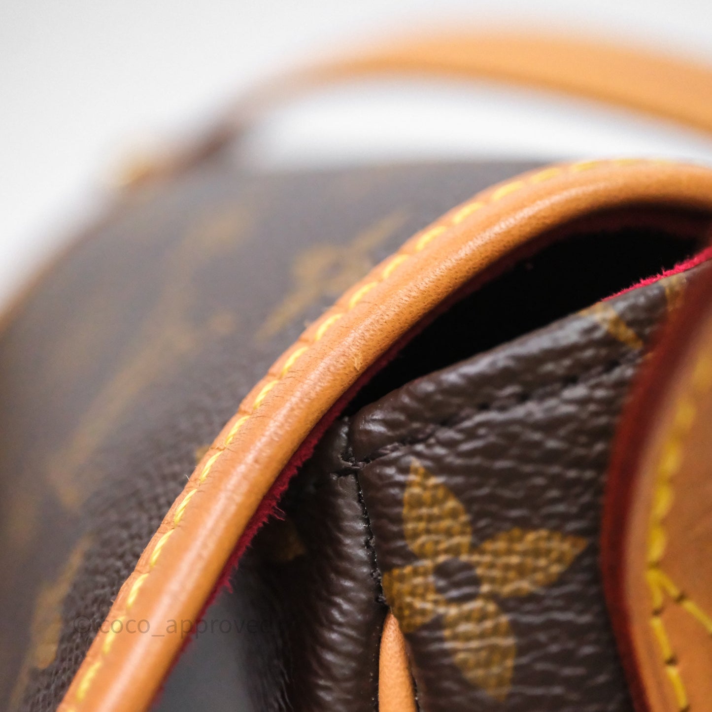 Louis Vuitton Tambourin Monogram Canvas Bag