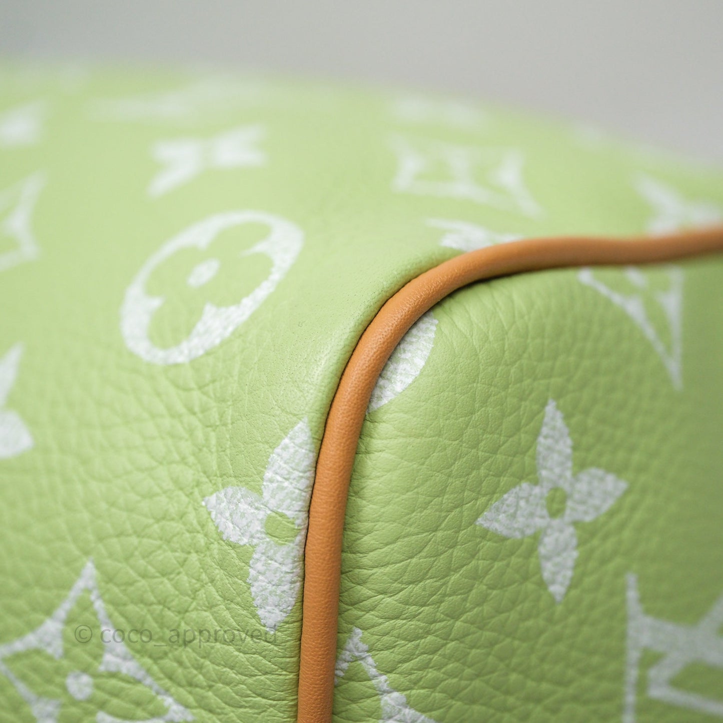 Louis Vuitton Speedy P9 Bandouliere 30 Vert Clair Bag