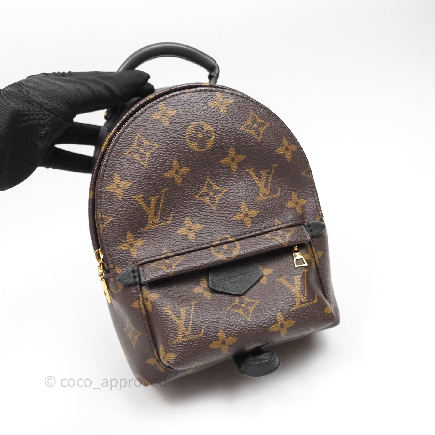 Louis Vuitton Mini Palm Springs Backpack⁣ Monogram