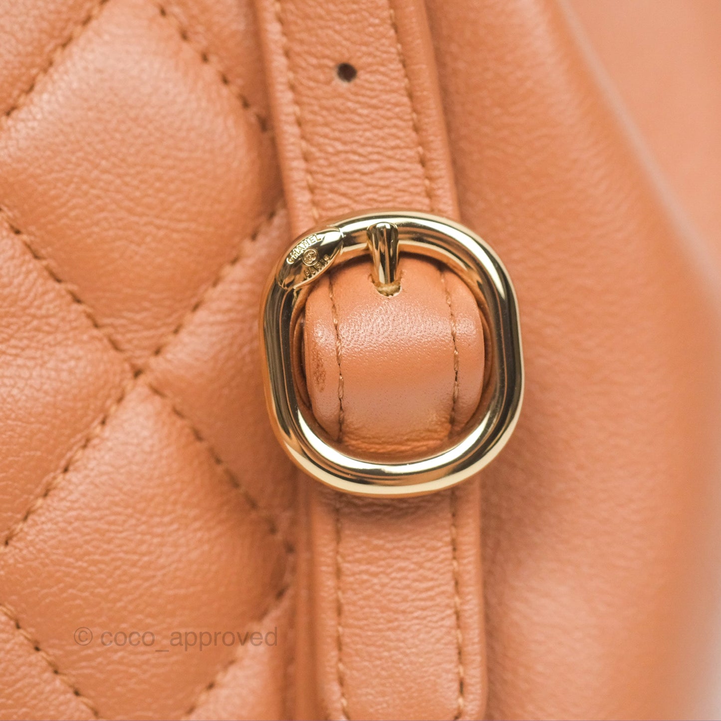 Chanel Small Duma Drawstring Backpack Camel Calfskin 24P