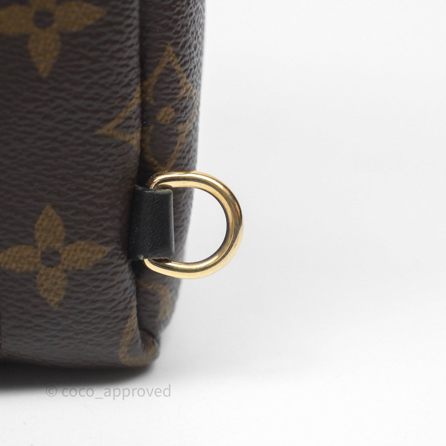 Louis Vuitton Mini Palm Springs Backpack⁣ Monogram