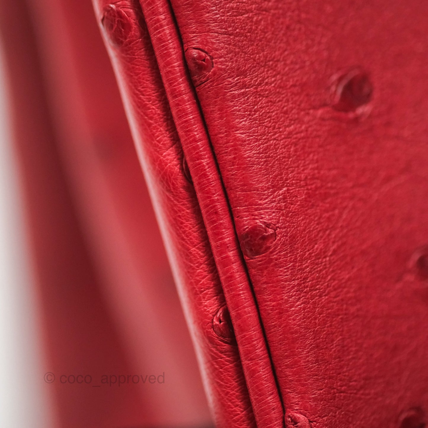 Hermès Birkin Retourne 30 Rouge Vif 53 Ostrich Gold Hardware