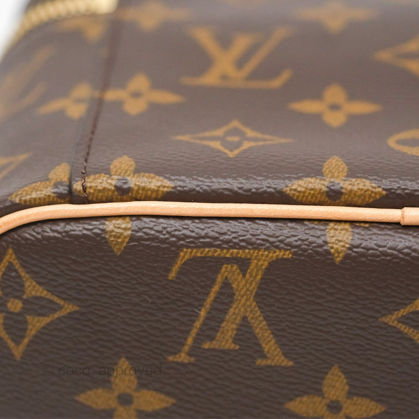 Louis Vuitton Monogram Nice Mini