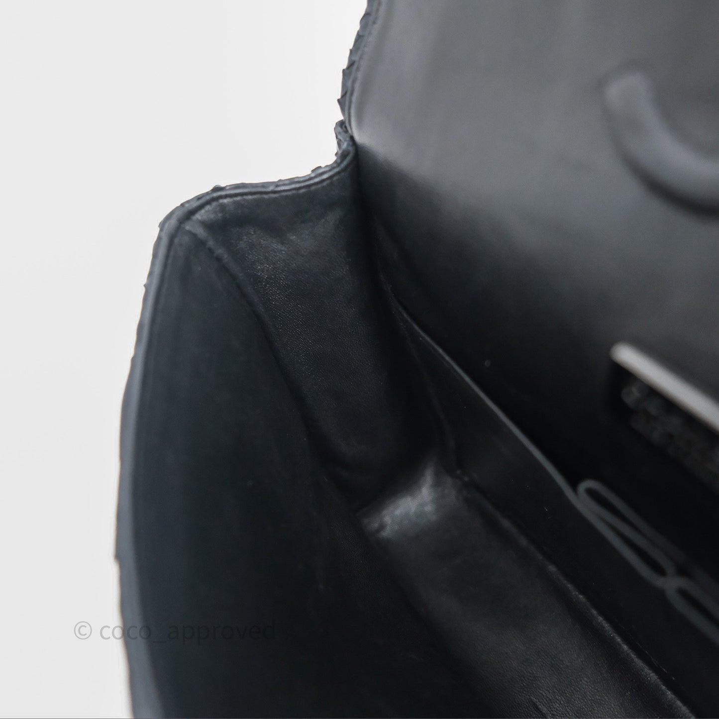 Chanel Classic M/L Medium Flap So Black Python Black Hardware
