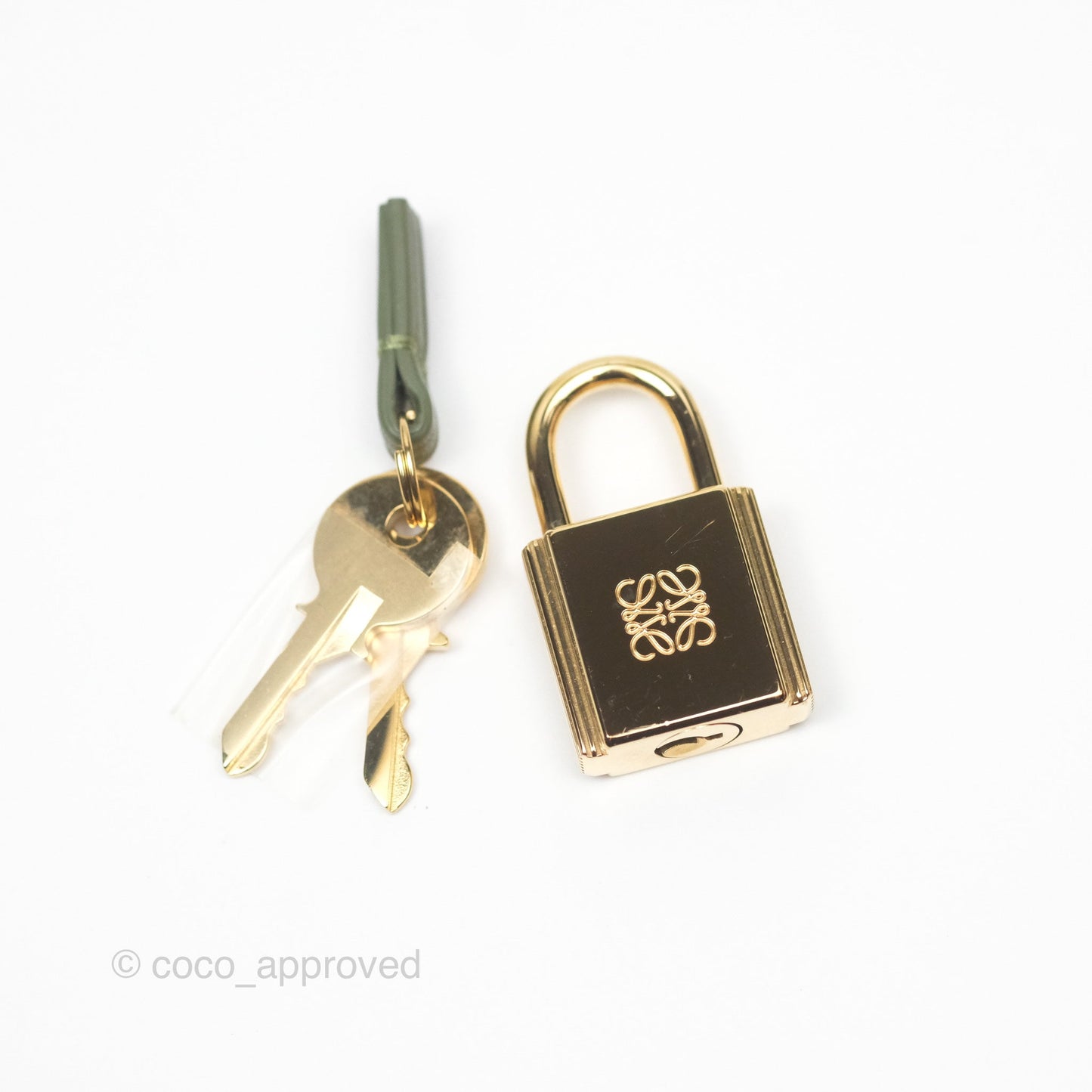 Loewe Amazona 19 Square Green/ Avocado Green in Anagram Jacquard and Calfskin
