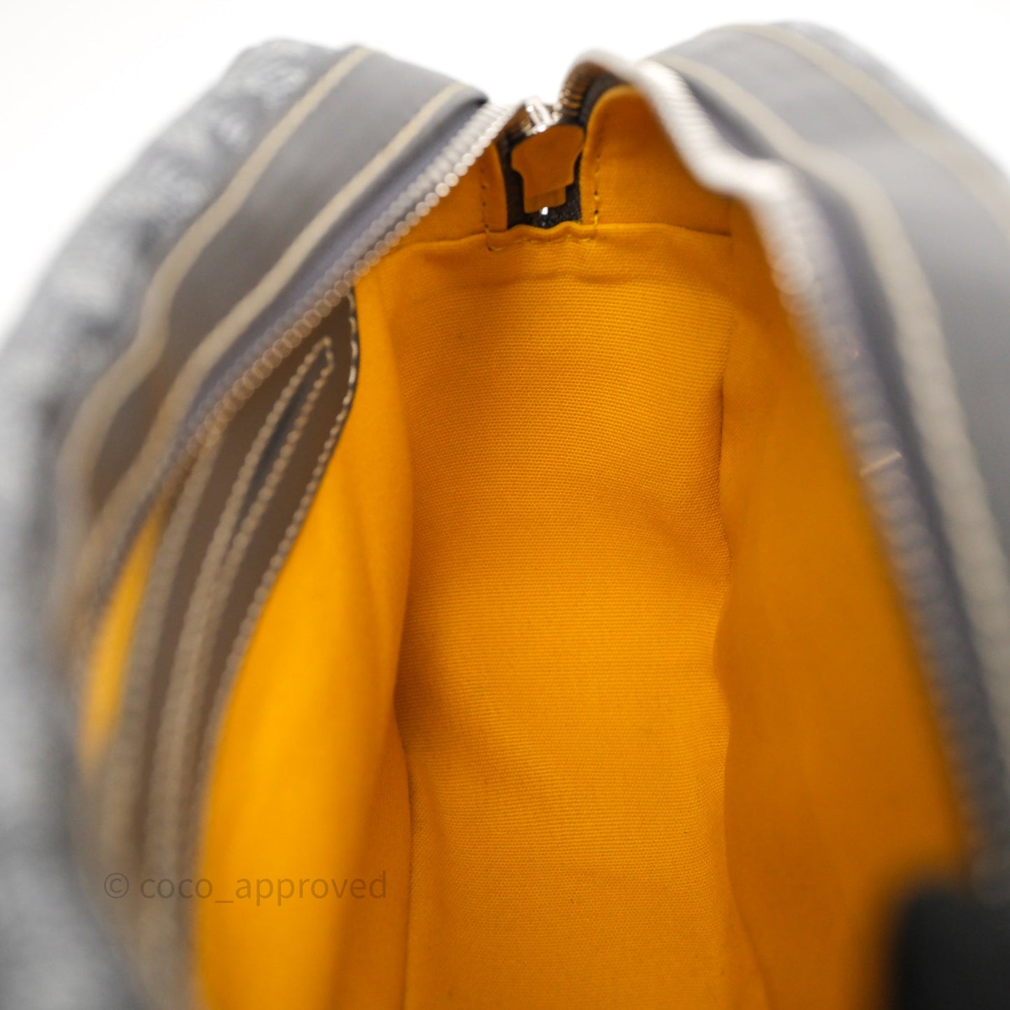 Goyard Cap-Vert PM Bag Grey Goyardine