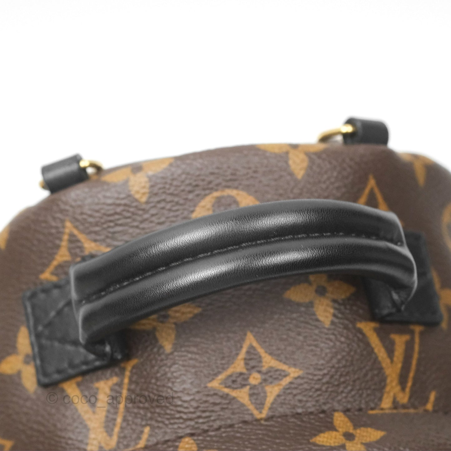 Louis Vuitton Mini Palm Springs Backpack⁣ Monogram Canvas
