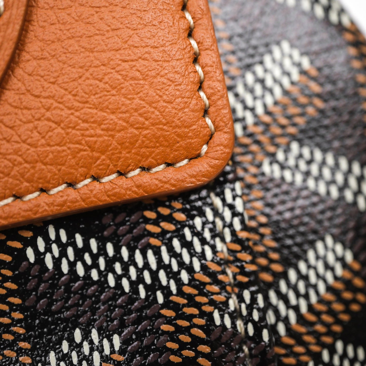 Goyard Mini Alpin Backpack Black/ Tan  Goyardine Calfskin