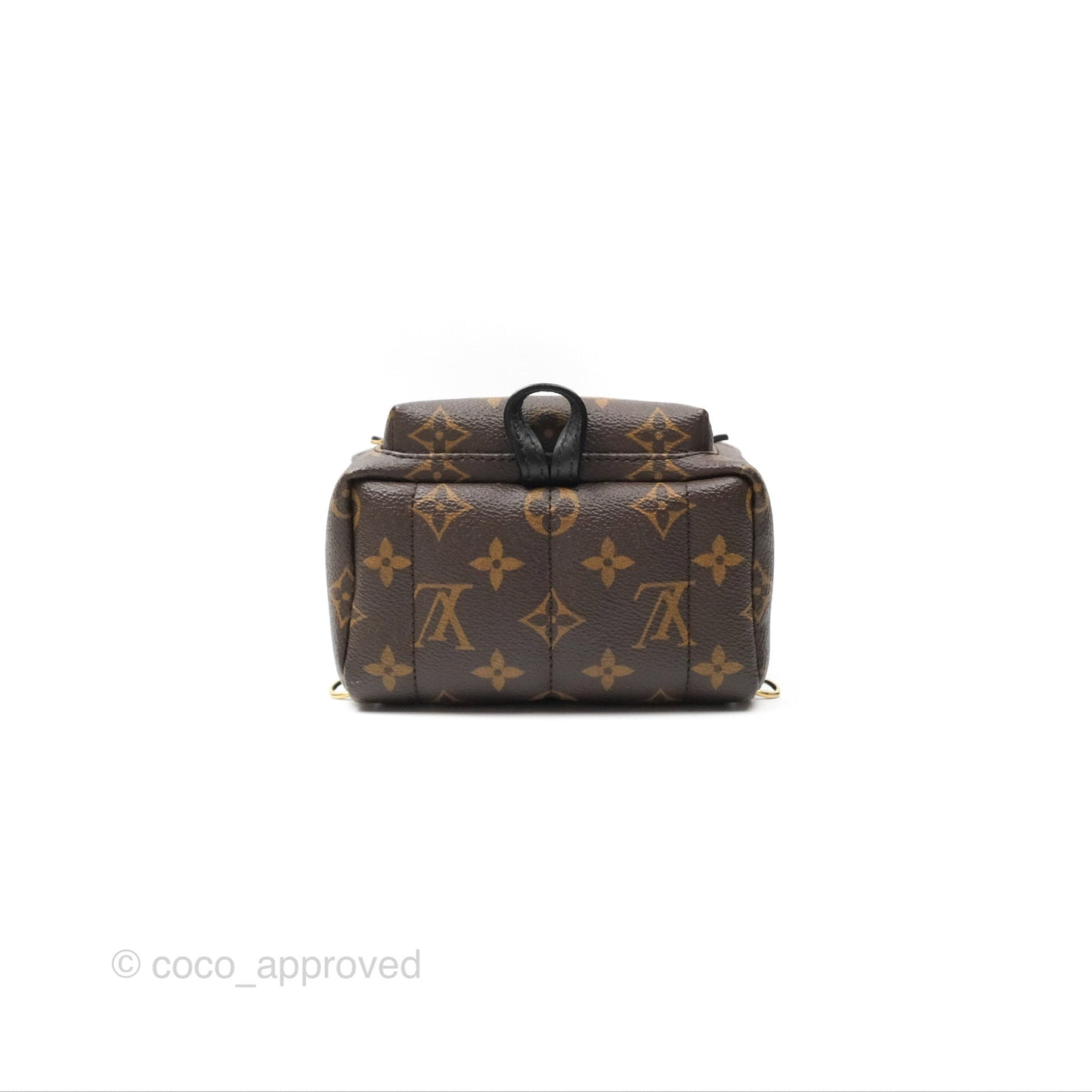 Louis Vuitton Mini Palm Springs Backpack⁣ Monogram Canvas