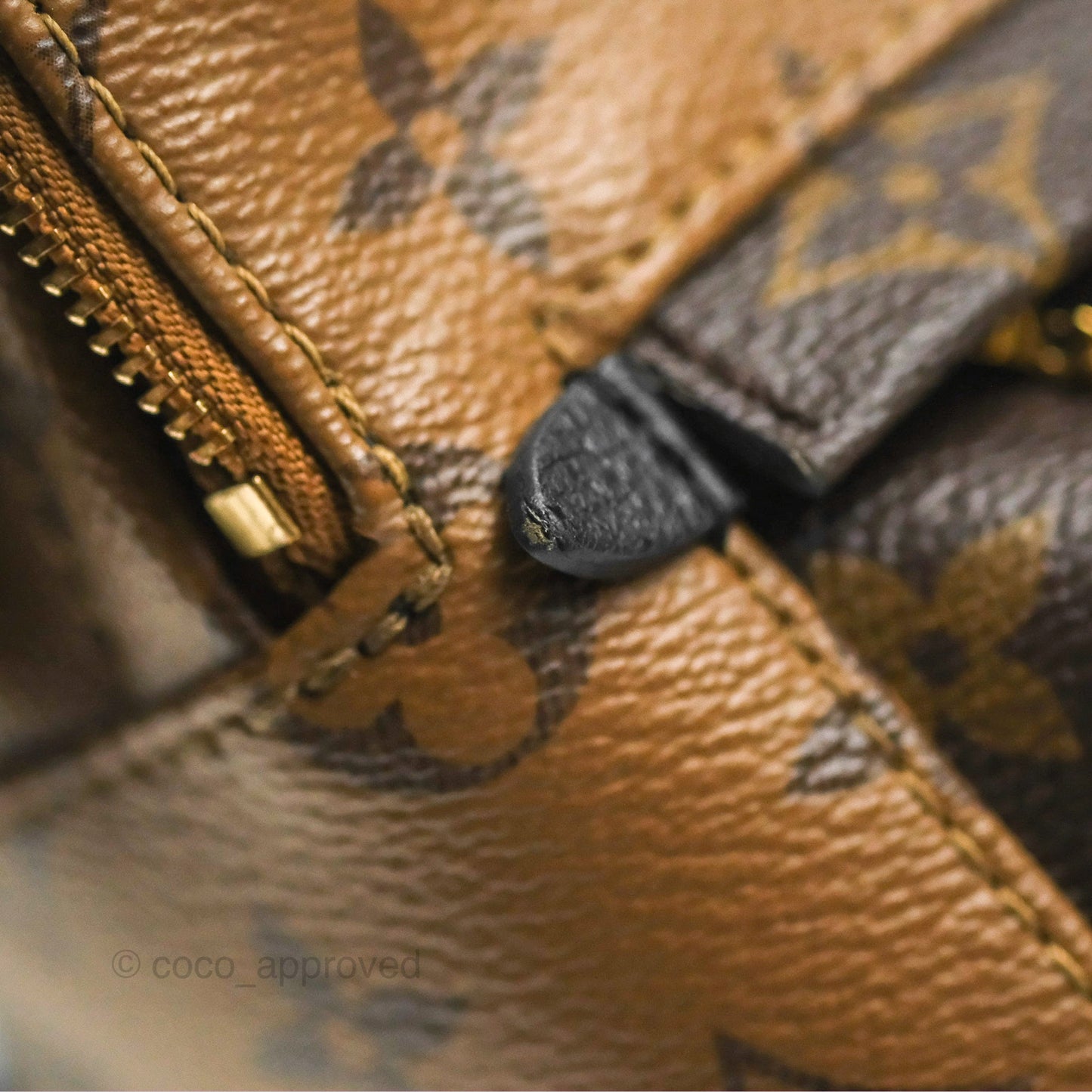 Louis Vuitton Reverse Mini Palm Springs Backpack⁣