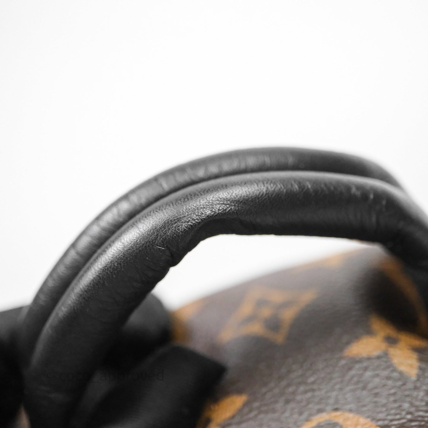 Louis Vuitton Palm Springs Backpack⁣ Monogram PM