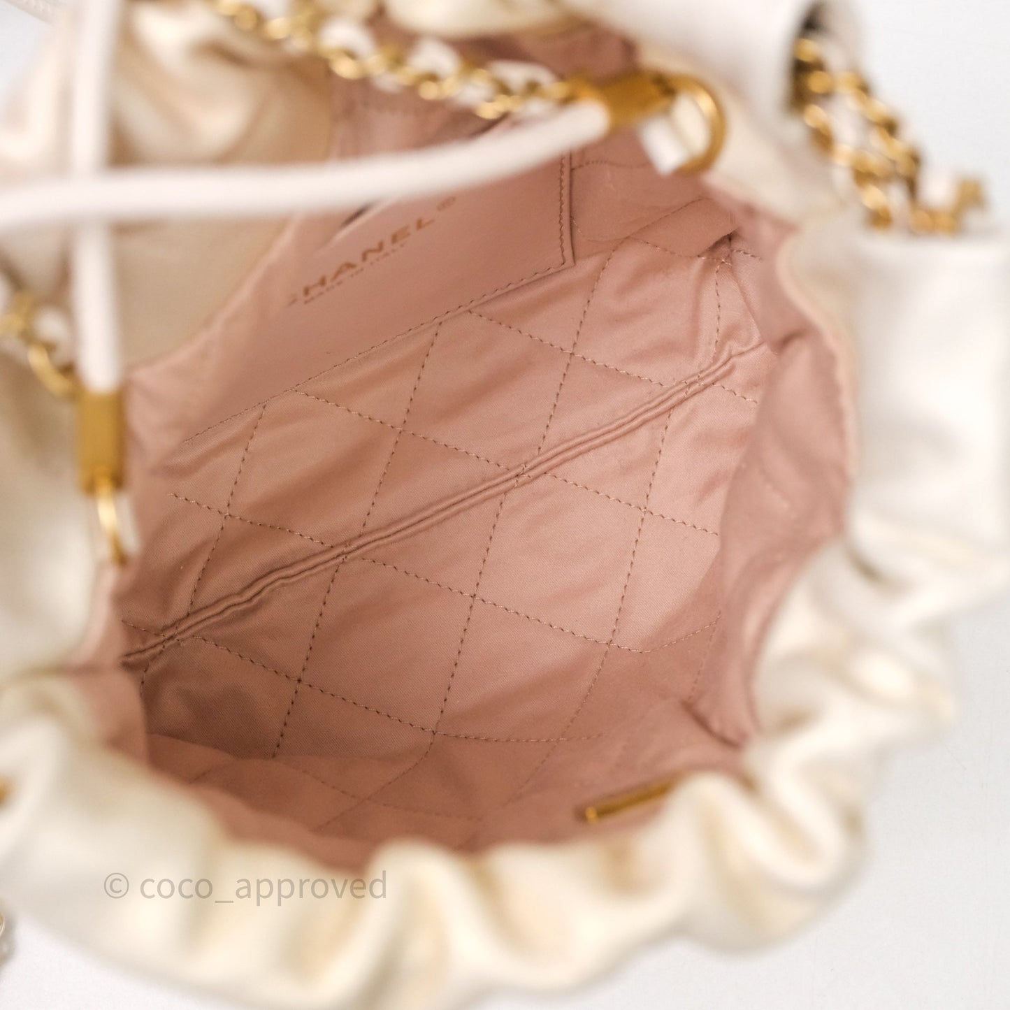 Chanel 22 Mini Bag Iridescent Light Pearly Calfskin Aged Gold Hardware