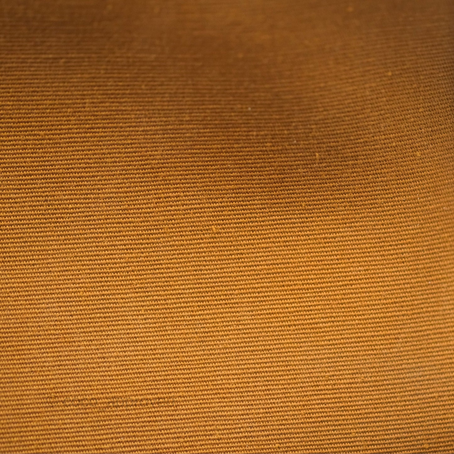 Celine Medium Folco Bag Triomphe Canvas Tan