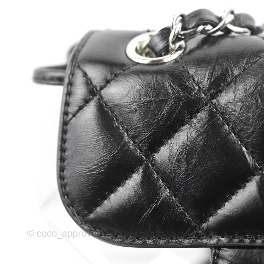 Chanel Aquarium PVC Backpack Black Crumpled Calfskin Silver Hardware