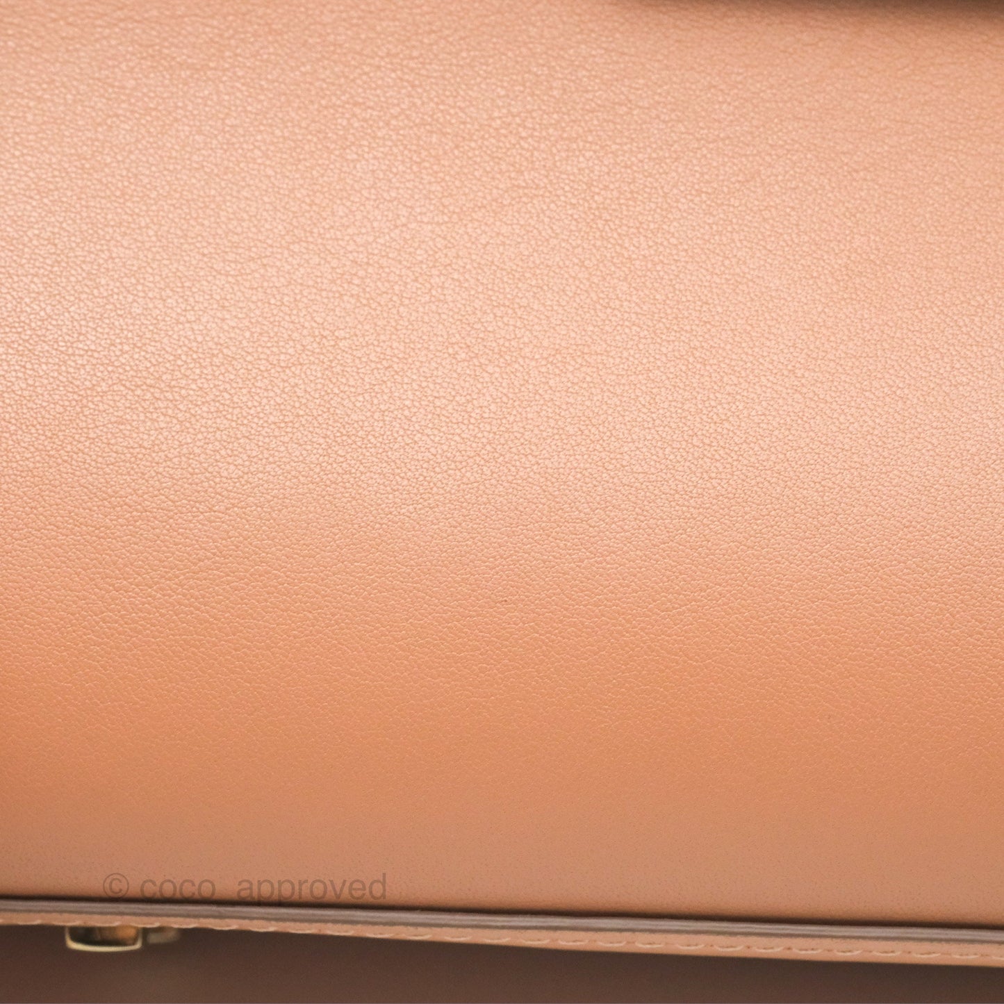 Delvaux Tempête Mini Beige Supple Calfskin Gold Hardware