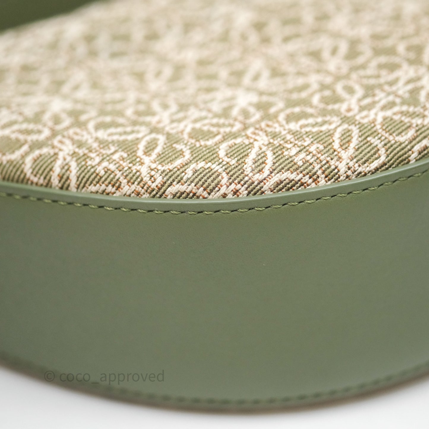Loewe Small Luna Anagram Shoulder Bag Green Calfskin Jacquard