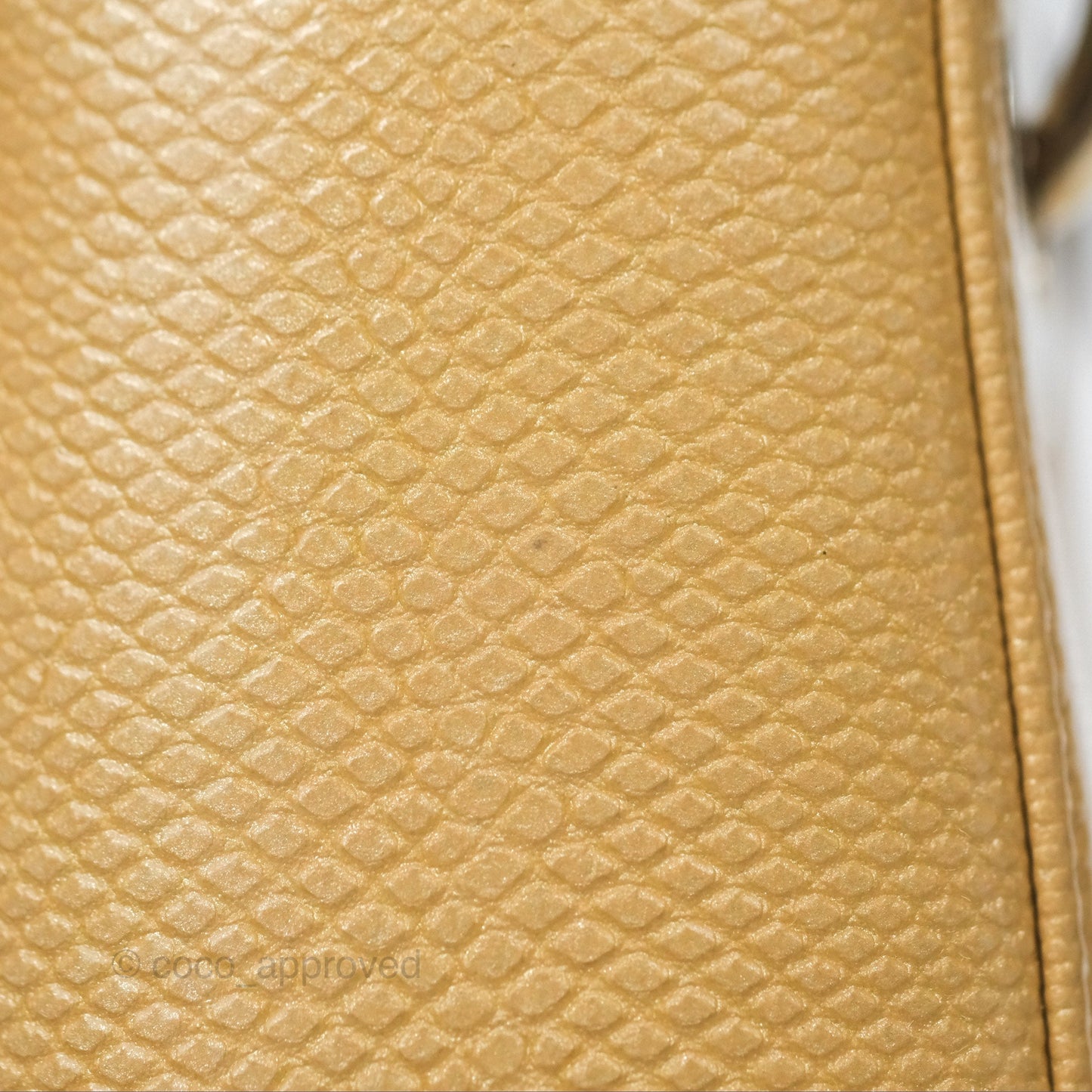 Christian Dior Mini Lady Dior Beige Lizard Gold Hardware