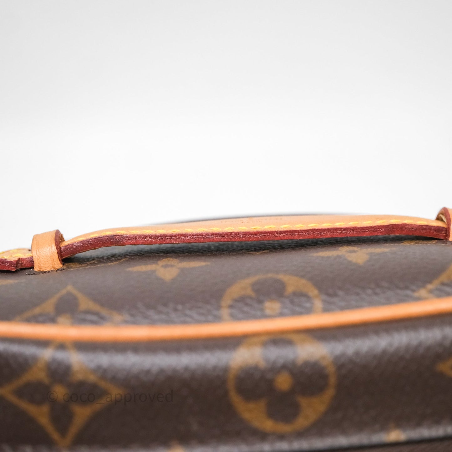 Louis Vuitton Nice Nano Monogram Canvas