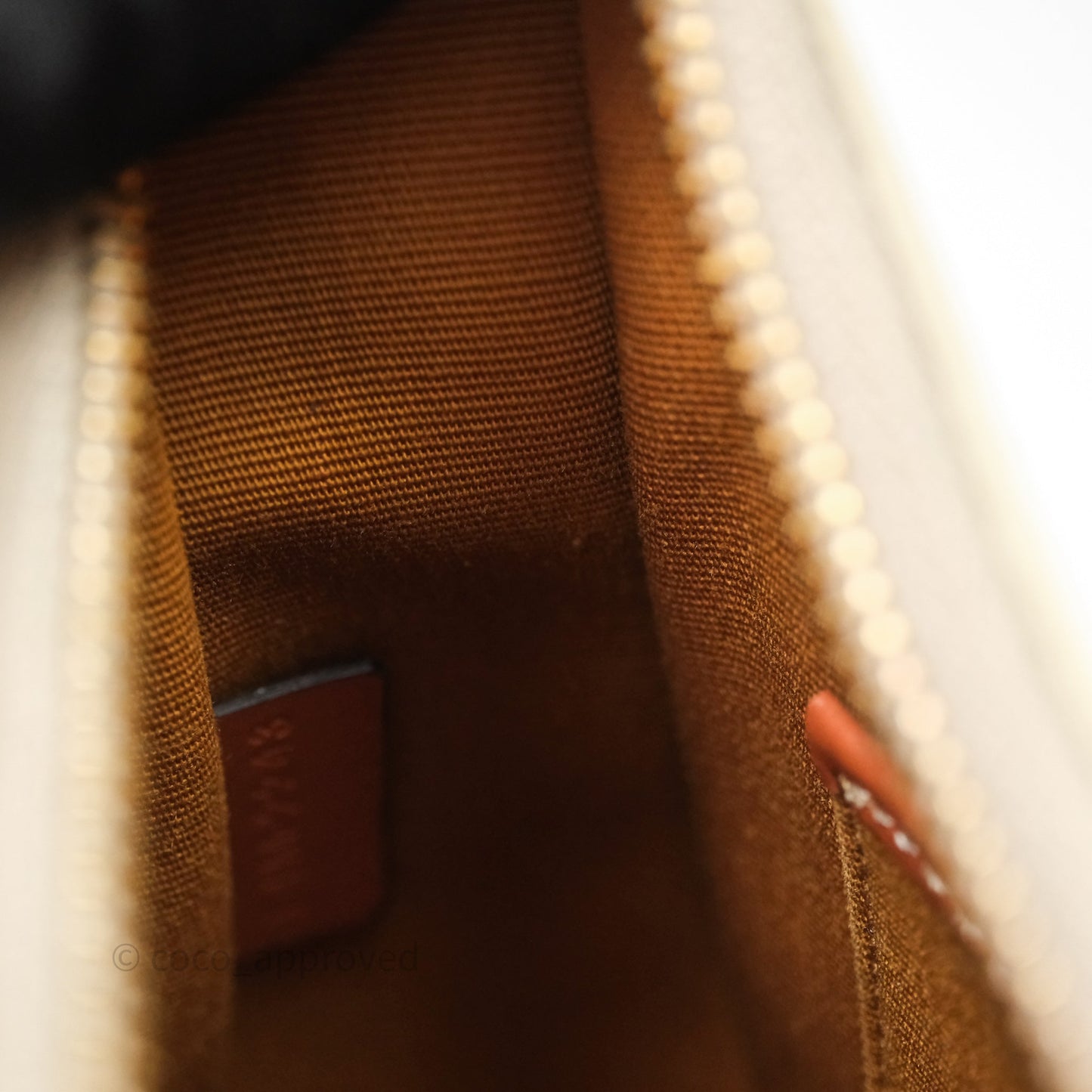 Celine Ava Bag In Triomphe Canvas Calfskin Grege