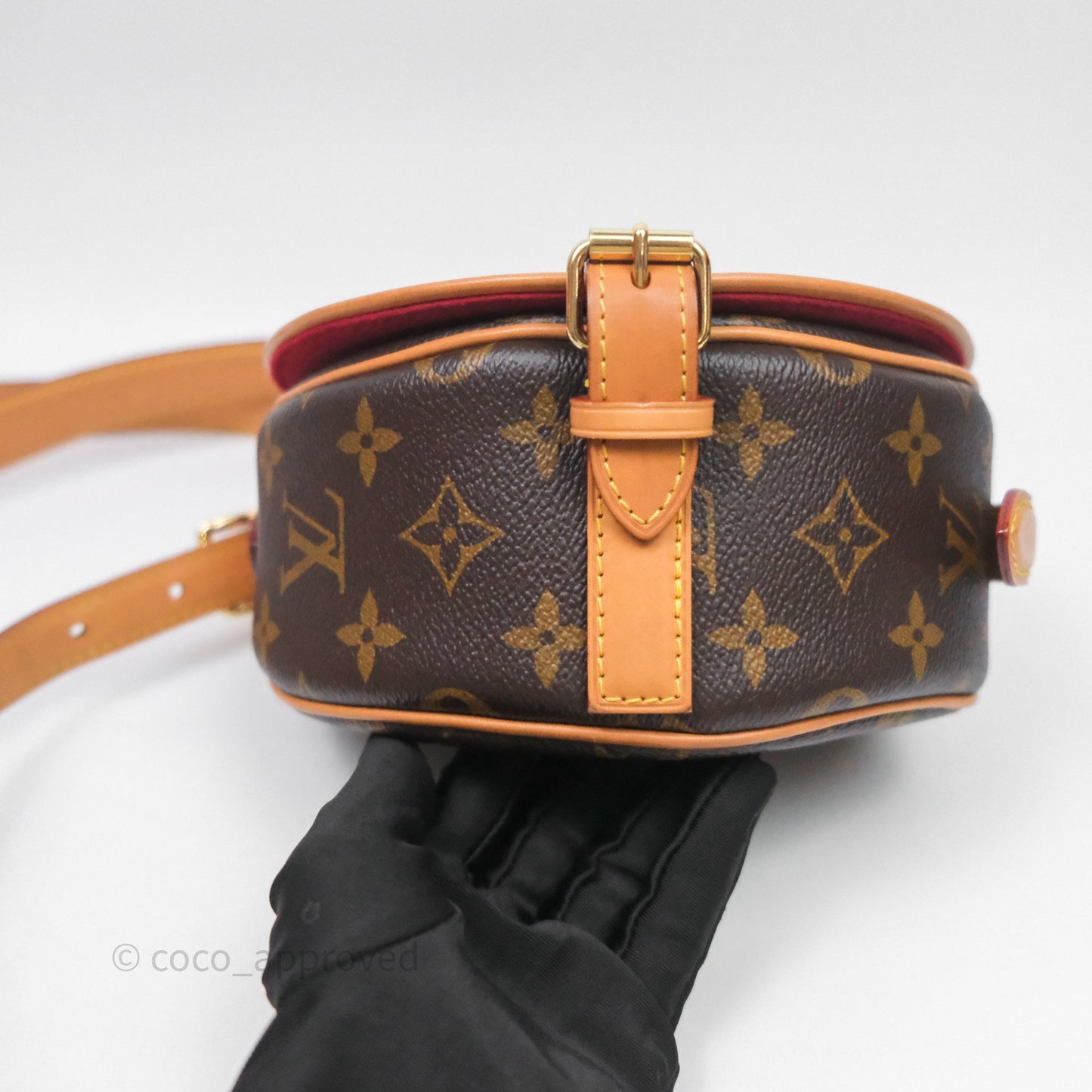 Louis Vuitton Tambourin Monogram Canvas Bag