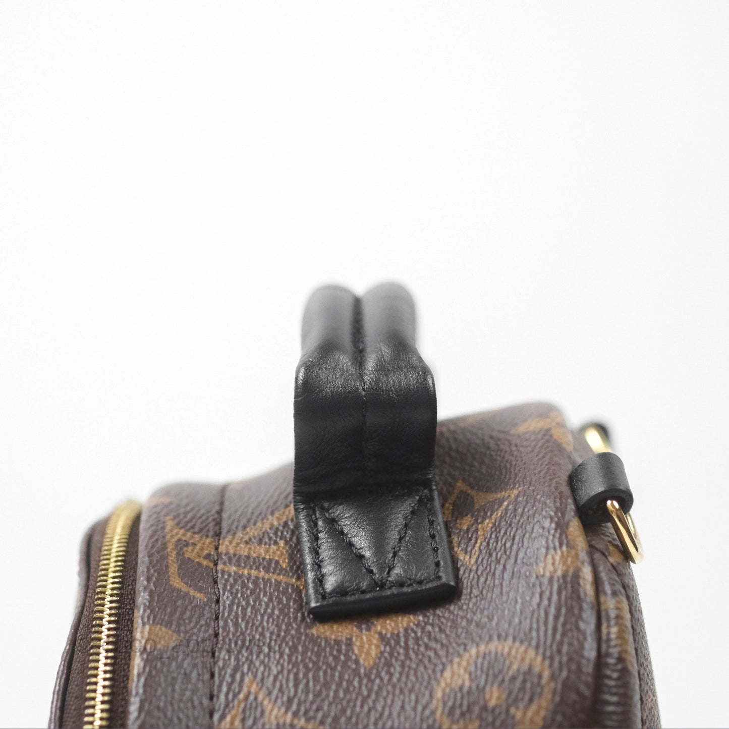 Louis Vuitton Monogram Mini Palm Springs Backpack⁣