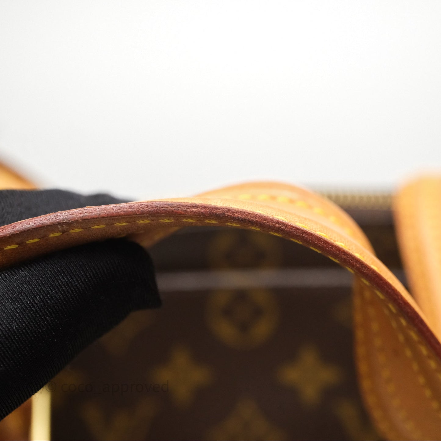 Louis Vuitton Multipli-Cite Tote Monogram Canvas