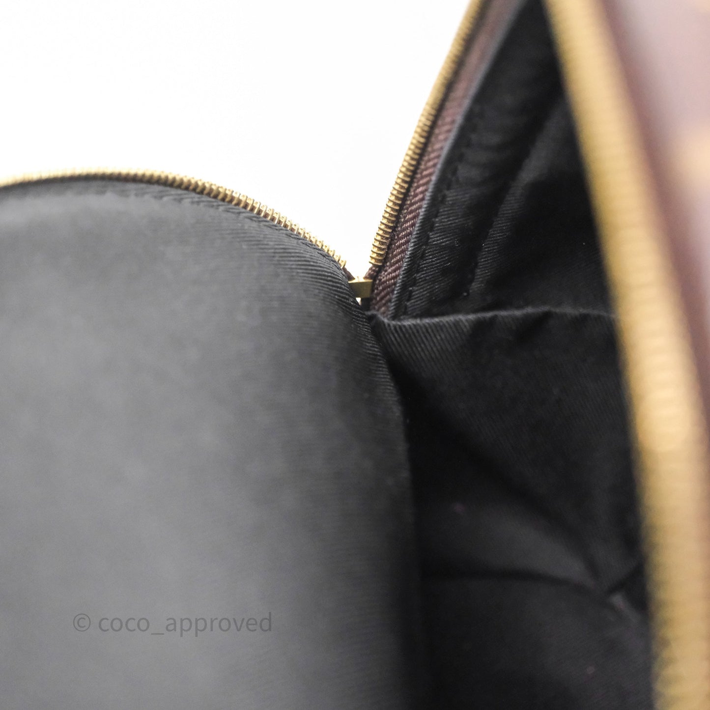 Louis Vuitton Mini Palm Springs Backpack⁣ Monogram
