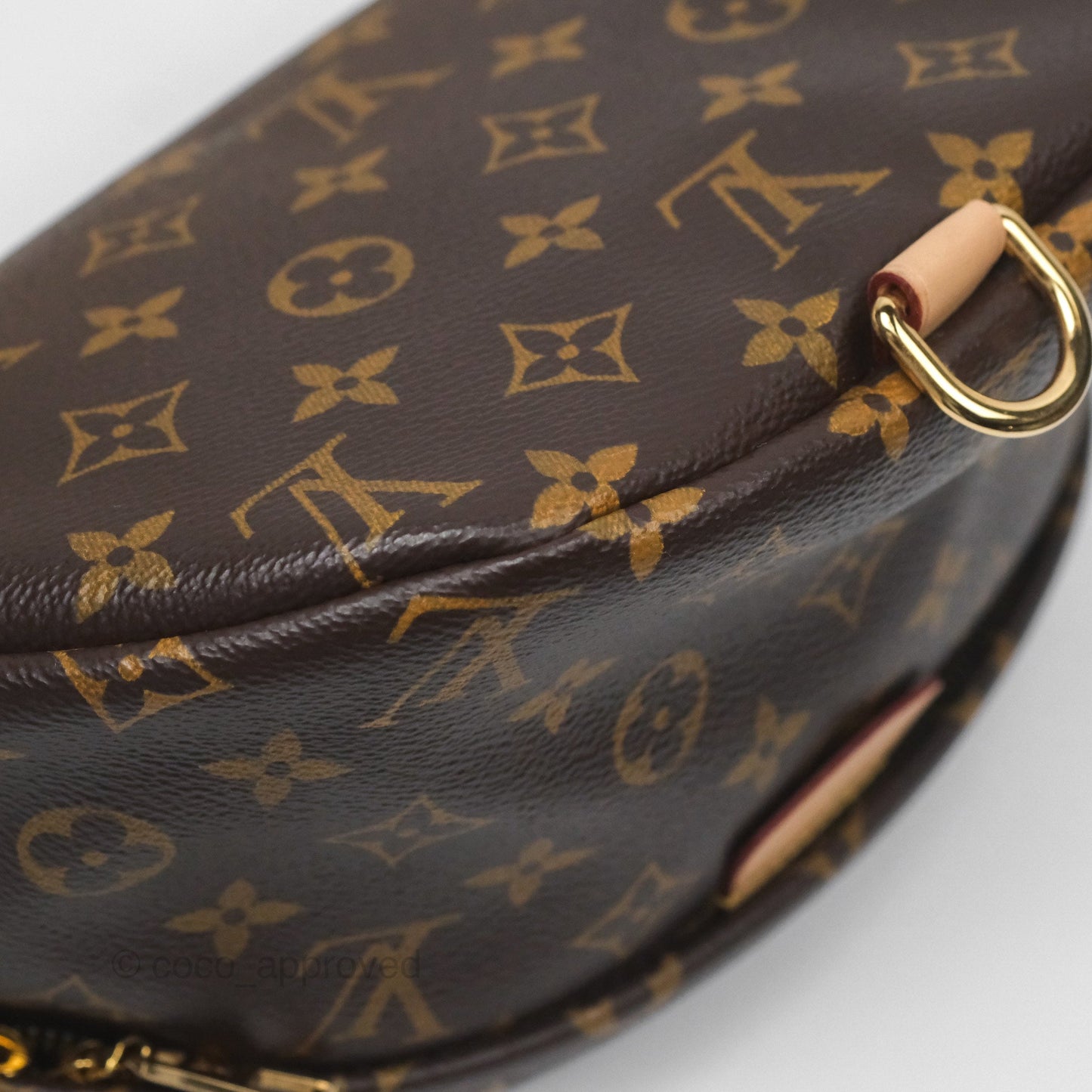 Louis Vuitton Bum Bag Monogram Canvas