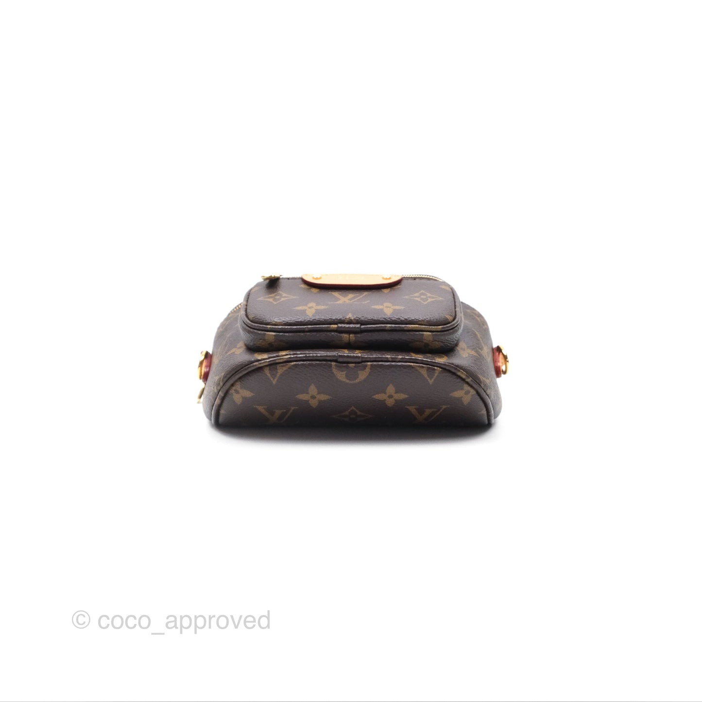 Louis Vitton Mini Bumbag in Monogram Canvas