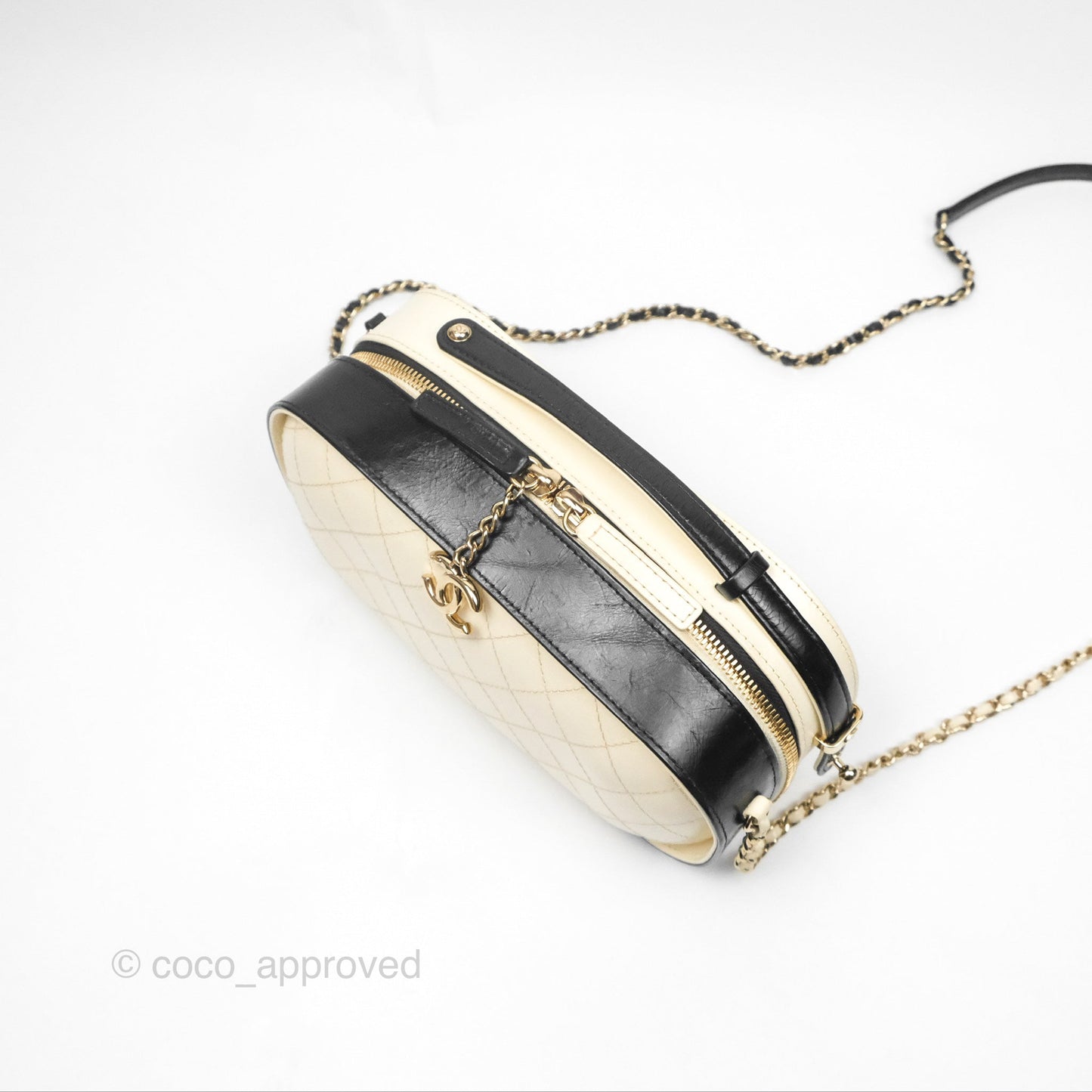 Chanel Camera Case Bag Black/White Calfskin Gold Hardware