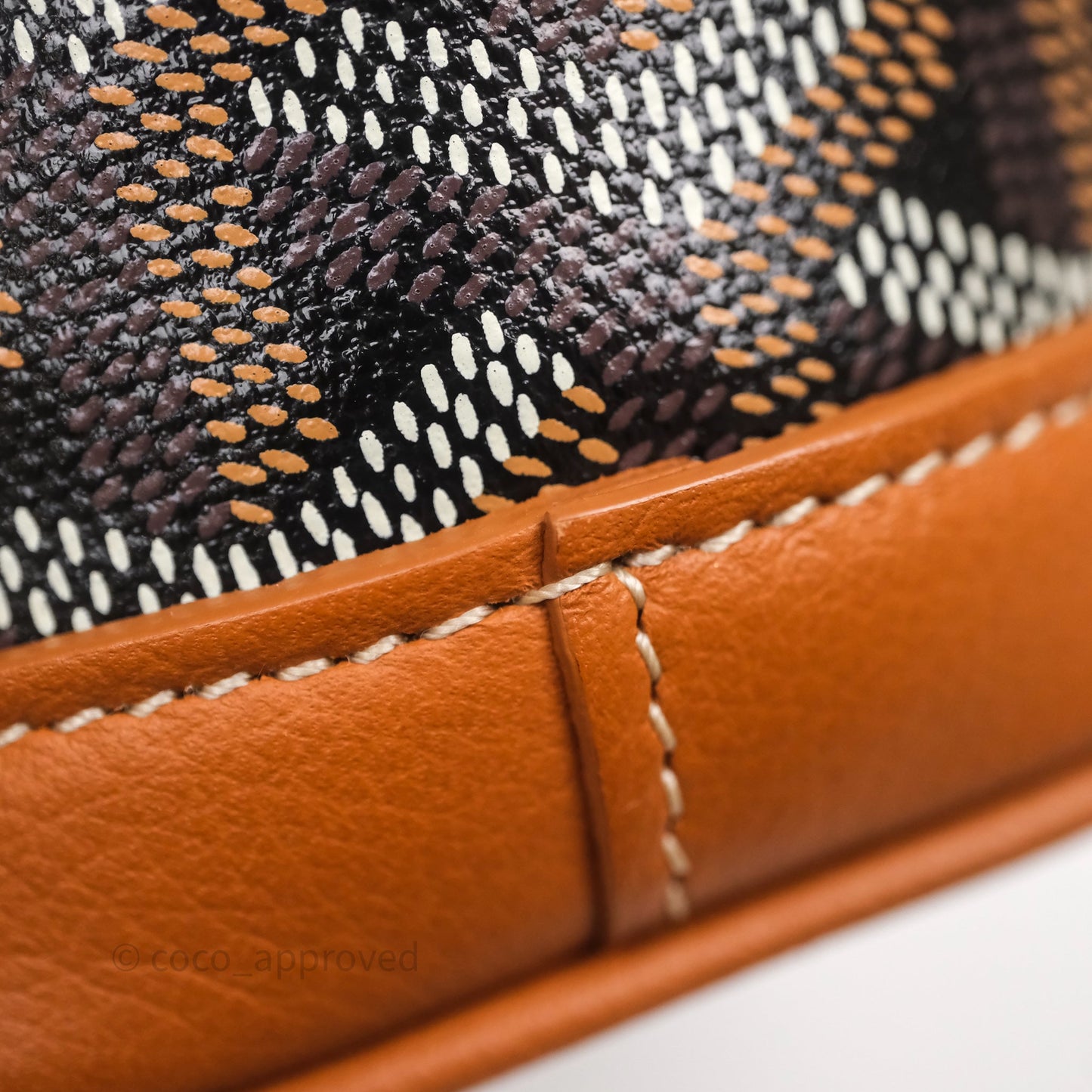 Goyard Mini Alpin Backpack Black/ Tan  Goyardine Calfskin