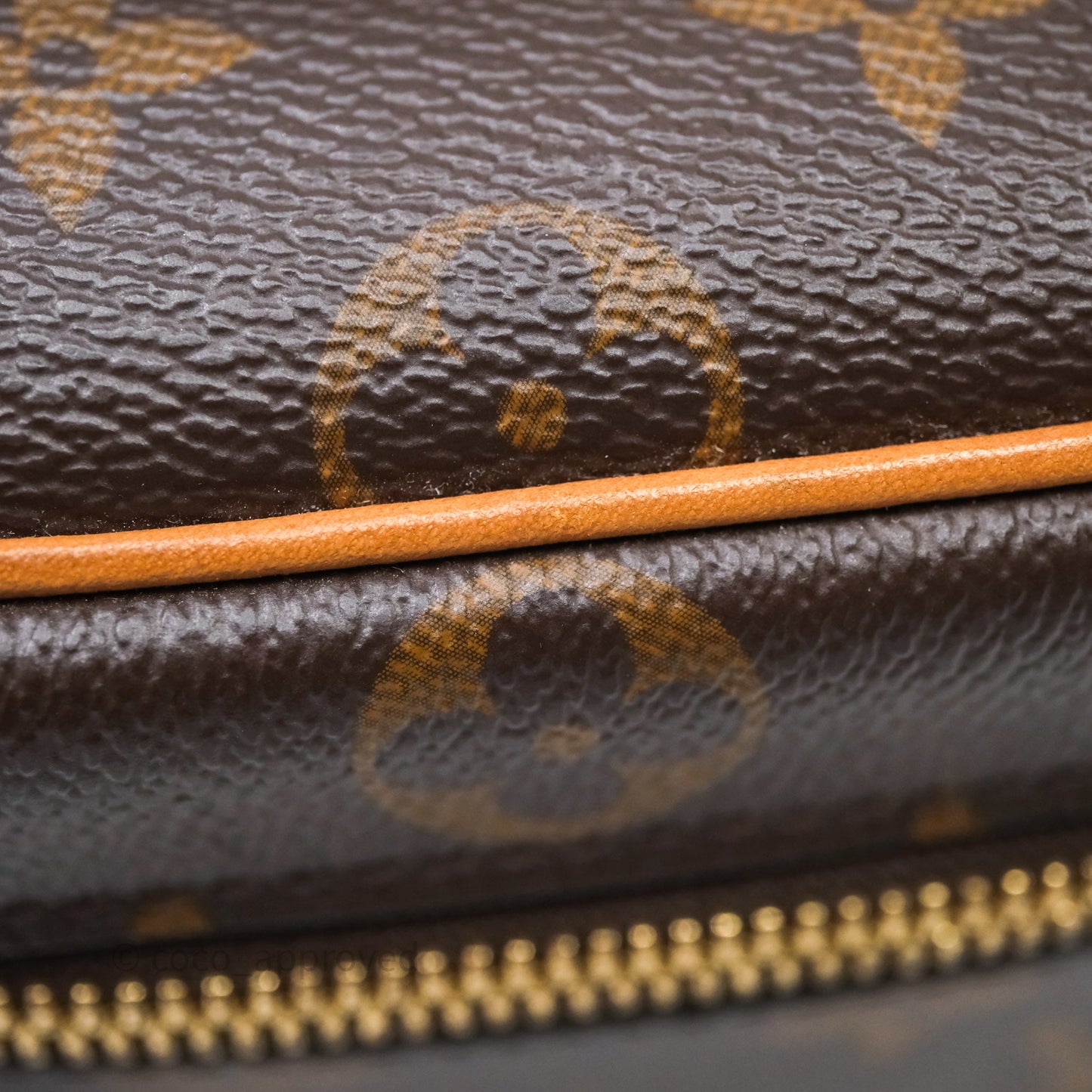 Louis Vuitton Nice Nano Monogram Canvas