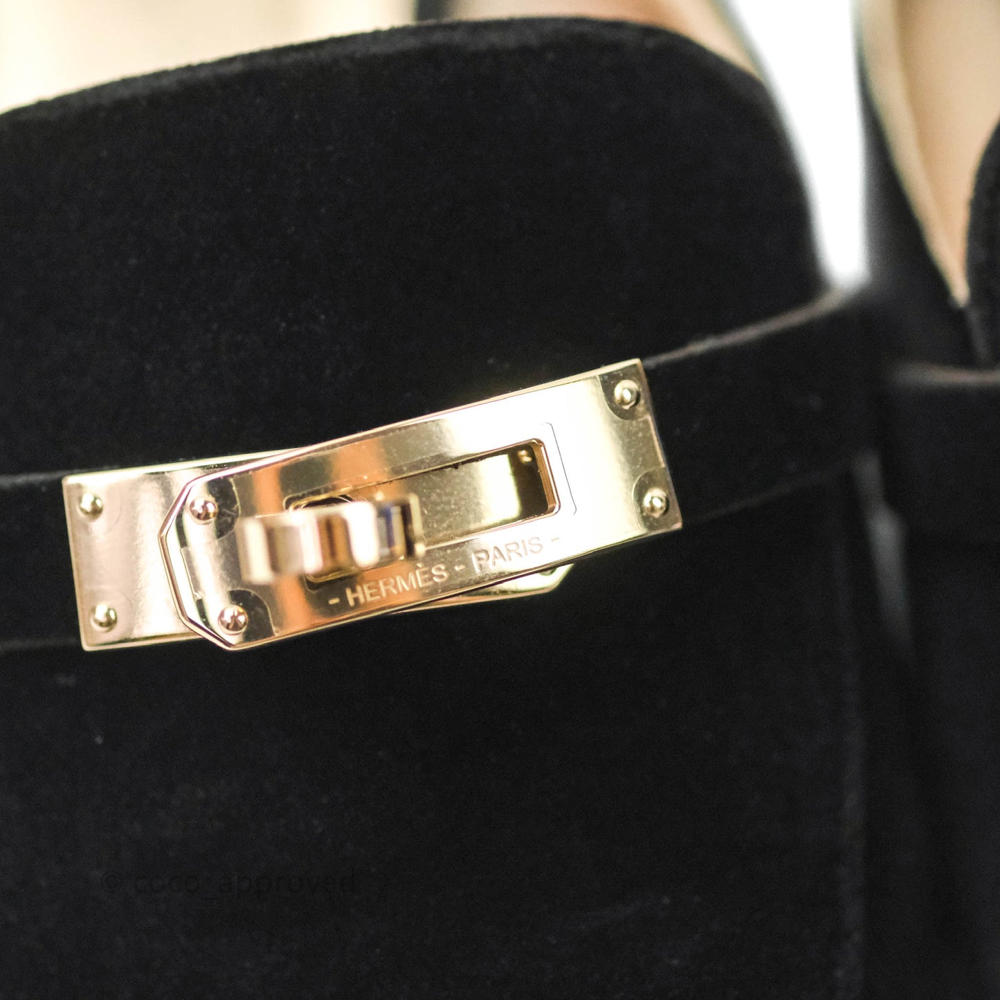 Hermès Oz Velvet Mules in Black Gold Hardware