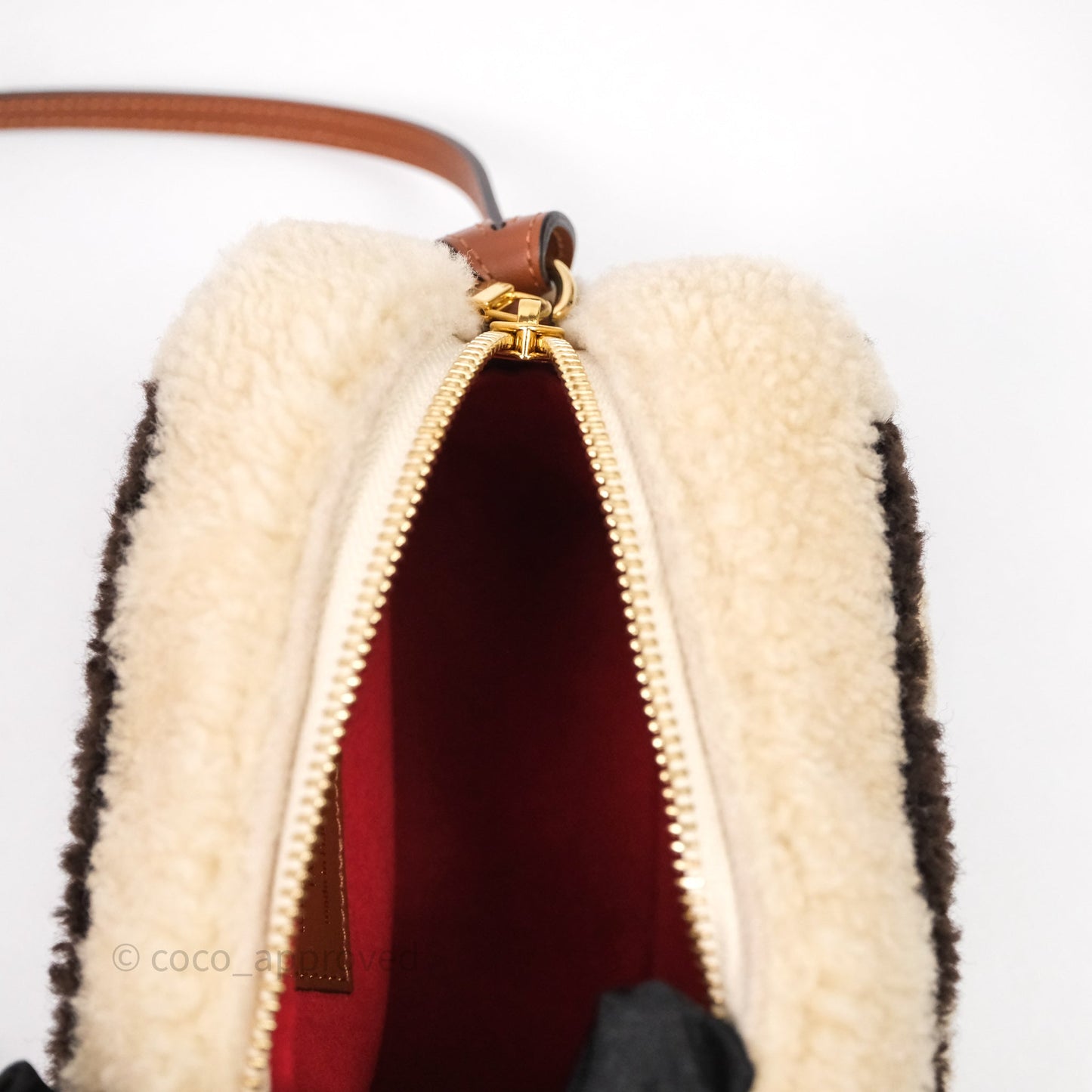 Louis Vuitton Teddy Beach Pouch Monogram