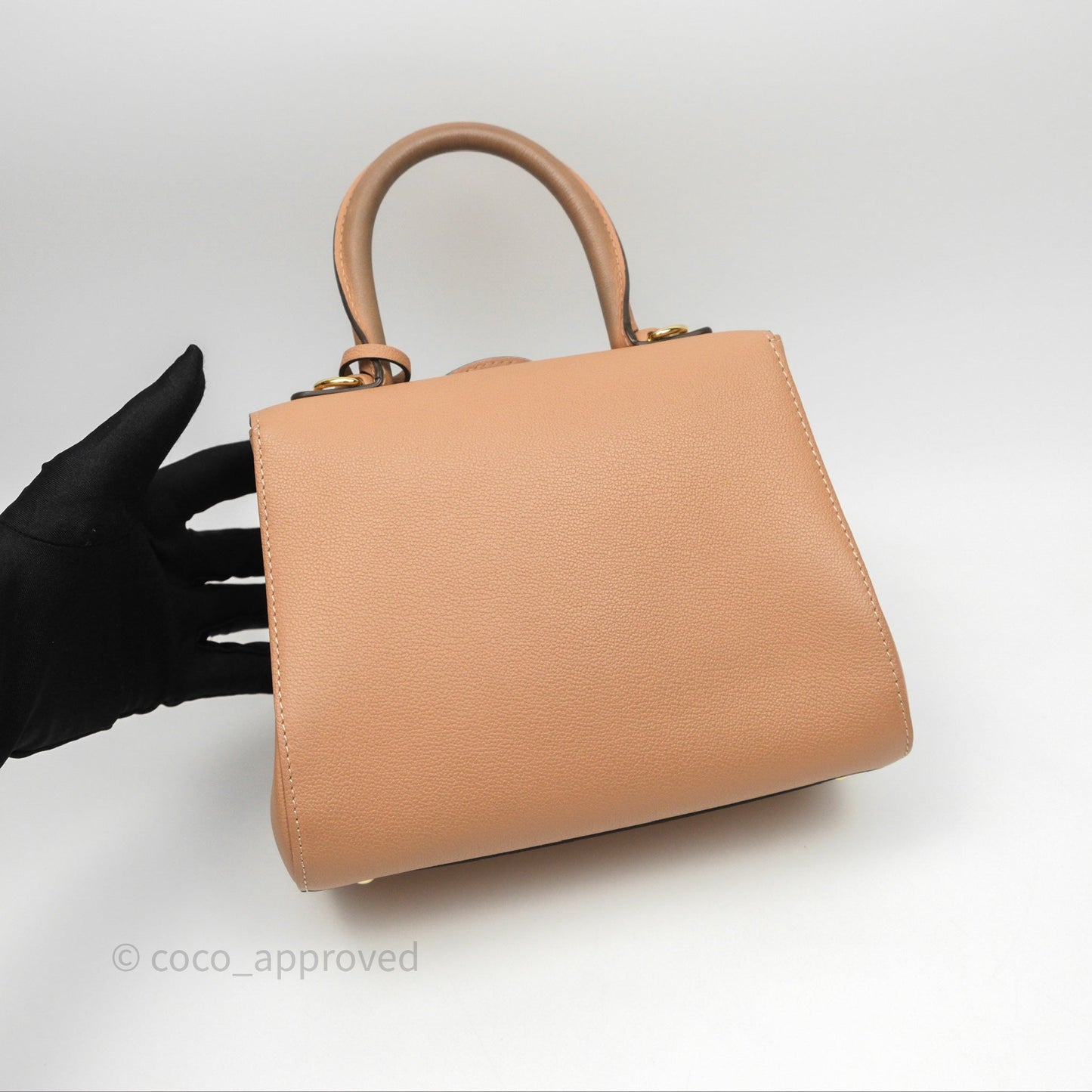 Delvaux Mini Brillant Bag Vison Grained Calfskin Gold Hardware with Twilly