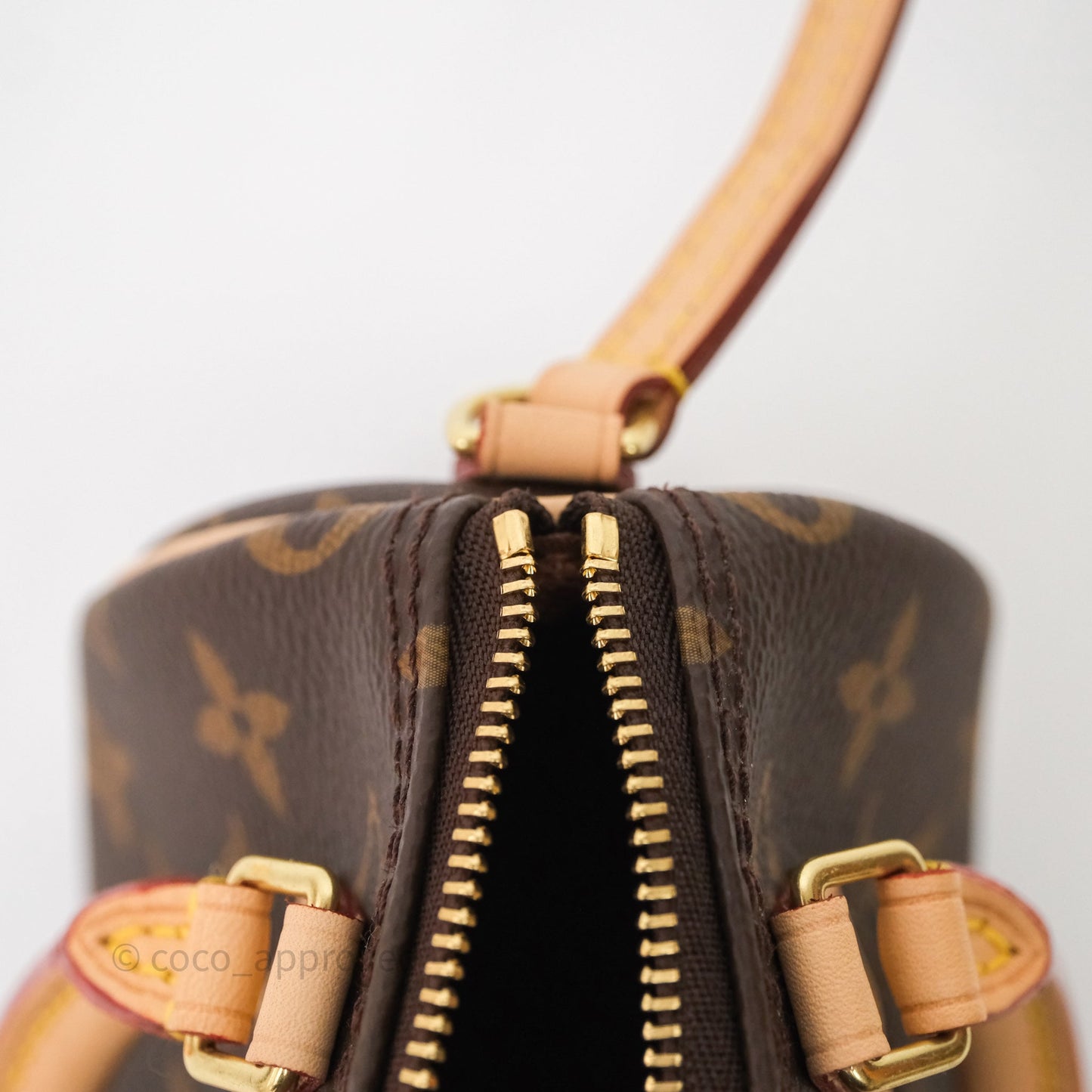 Louis Vuitton Nano Speedy Monogram Canvas
