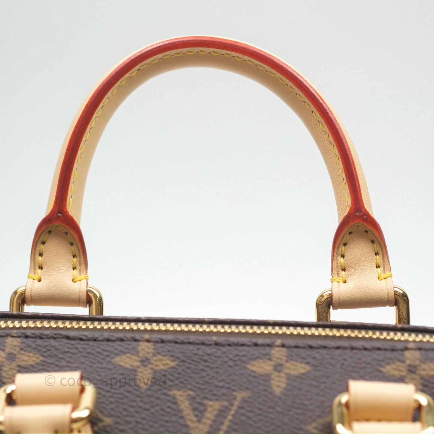 Louis Vuitton LV x Murakami Speedy Bandoulière 20 Monogram
