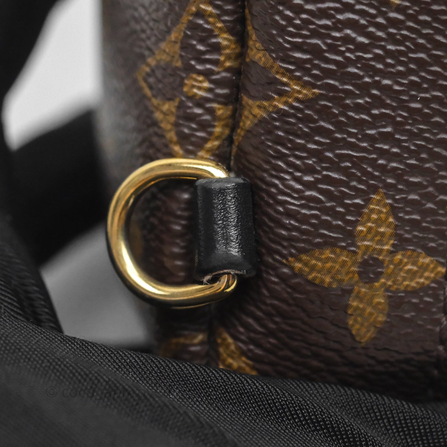 Louis Vuitton Mini Palm Springs Backpack⁣ Monogram