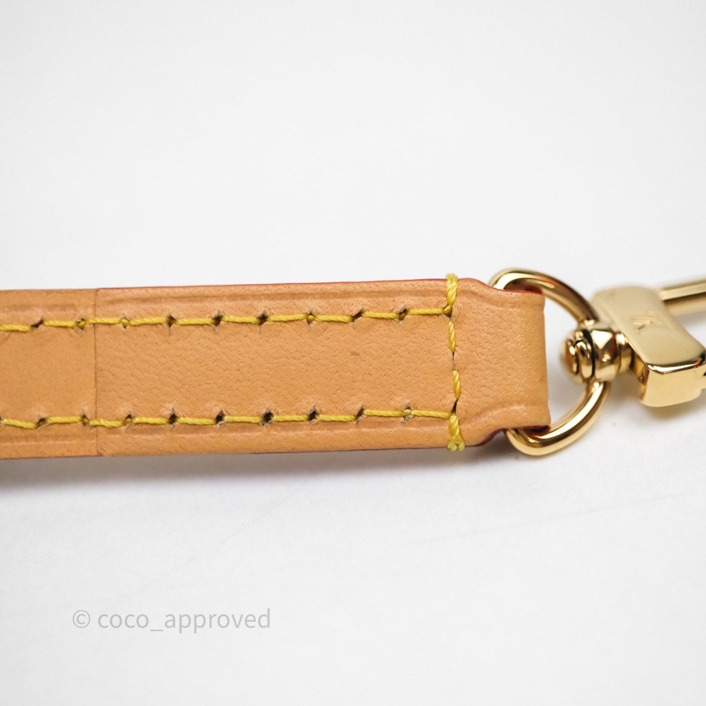 Louis Vuitton Nano Noe Monogram Canvas